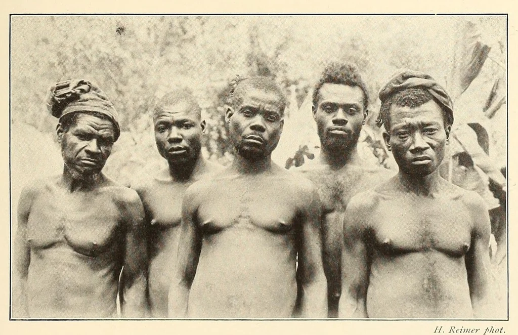 An illustration from Im Hochland von Mittel-Kamerun .., 1914, leaf 49