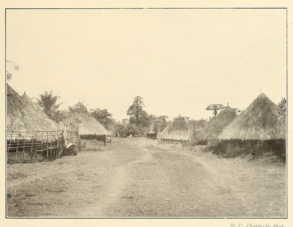 An illustration from Im Hochland von Mittel-Kamerun .., 1914, leaf 61