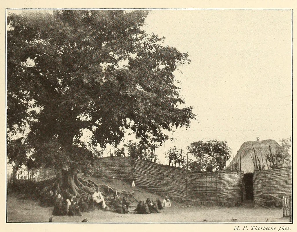 An illustration from Im Hochland von Mittel-Kamerun .., 1914, leaf 69
