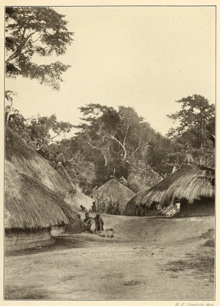 An illustration from Im Hochland von Mittel-Kamerun .., 1914, leaf 73