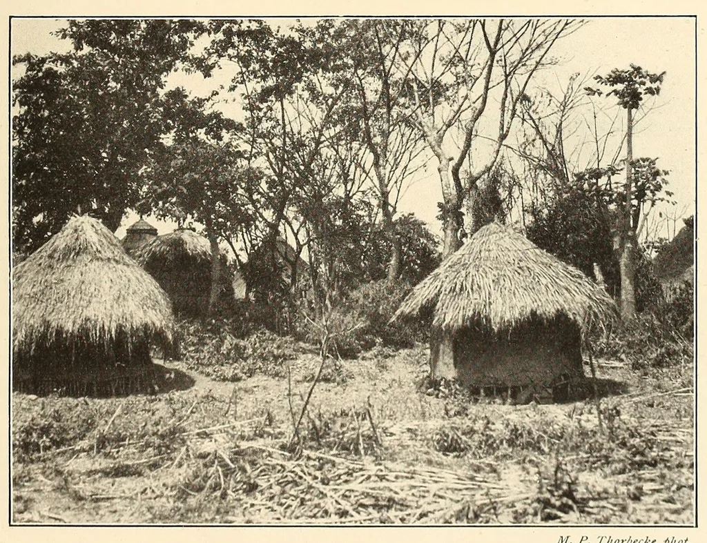 An illustration from Im Hochland von Mittel-Kamerun .., 1914, leaf 77