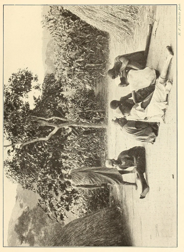 An illustration from Im Hochland von Mittel-Kamerun .., 1914, leaf 97