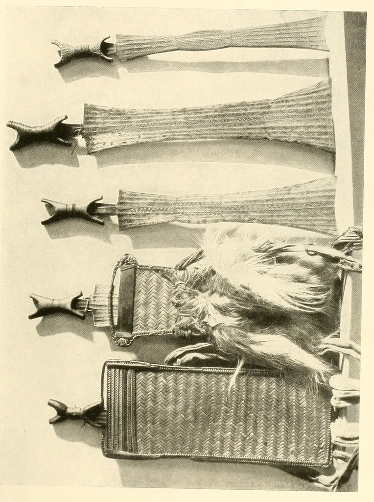 An illustration from Im Hochland von Mittel-Kamerun .., 1914, leaf 111