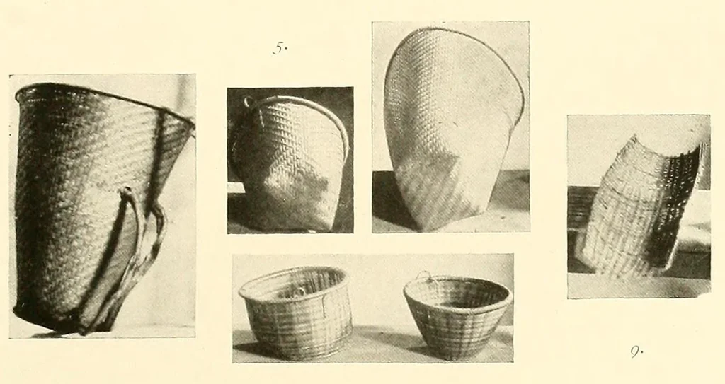 An illustration from Im Hochland von Mittel-Kamerun .., 1914, leaf 85