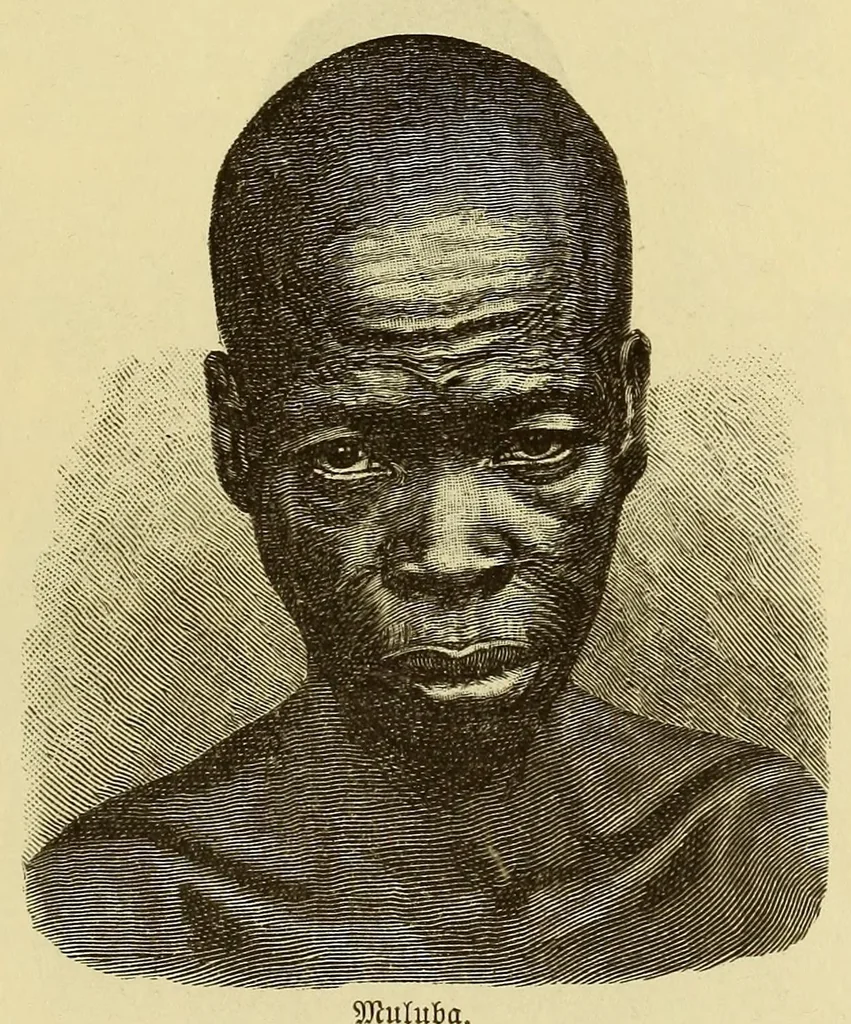 An illustration from Im Innern Afrikas : die Erforschung des Kassai während der Jahre 1883, 1884 und 1885, 1891, leaf 197