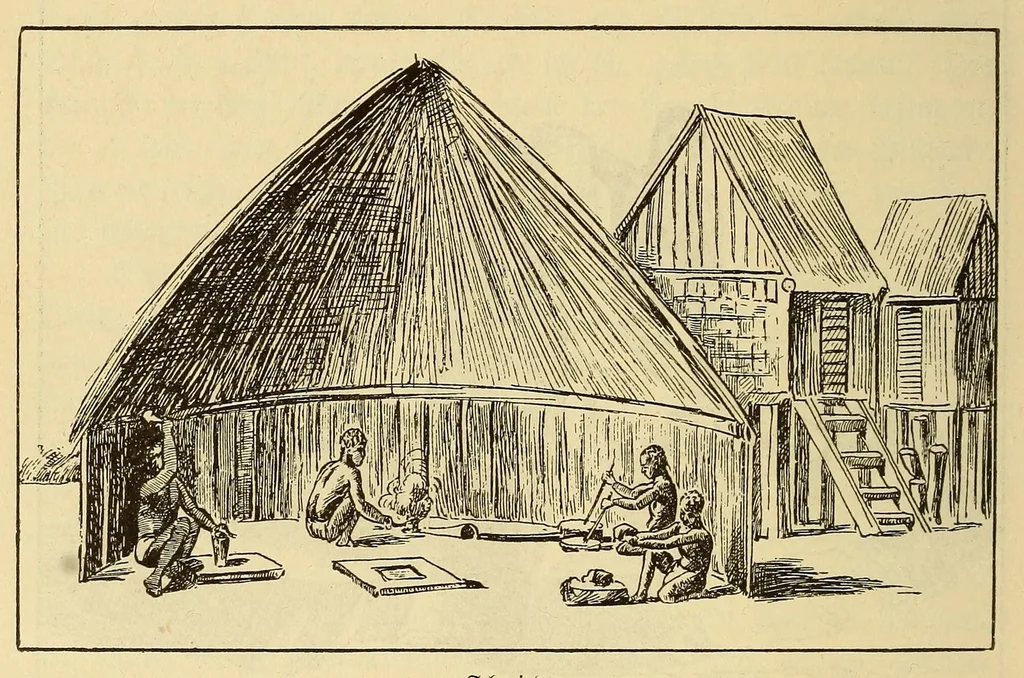 An illustration from Im Innern Afrikas : die Erforschung des Kassai während der Jahre 1883, 1884 und 1885, 1891, leaf 256