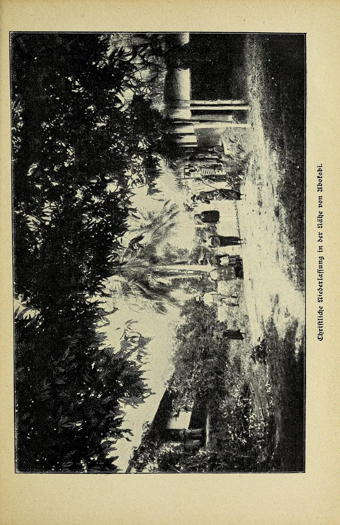 An illustration from Im Lande des Fetisches : ein Lebensbild als Spiegel afrikansichen Volkslebens, 1905, leaf 223
