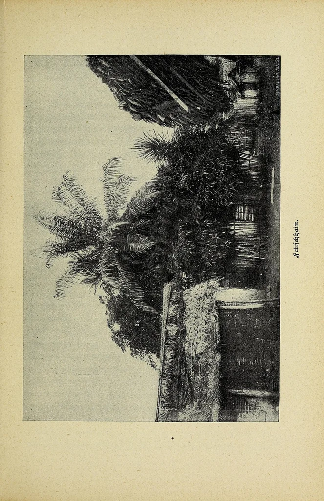 An illustration from Im Lande des Fetisches : ein Lebensbild als Spiegel afrikansichen Volkslebens, 1905, leaf 63
