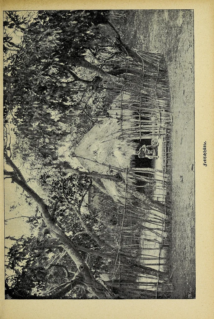 An illustration from Im Lande des Fetisches : ein Lebensbild als Spiegel afrikansichen Volkslebens, 1905, leaf 69