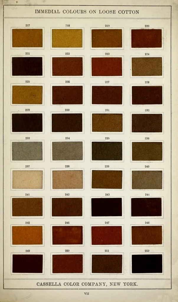 An illustration from Immedial colours on loose cotton, 1900, leaf 21