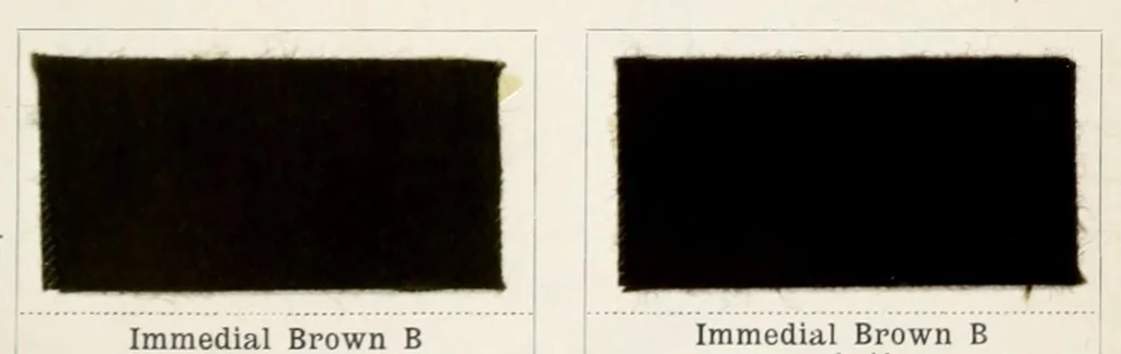 An illustration from The immedial colours and their application on cotton, 1901, leaf 135