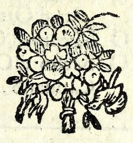 An illustration from I morti vivi : comedia, 1576, leaf 21