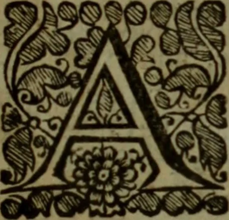 An illustration from An impartial collection of the great affairs of state : from the beginning of the Scotch rebellion in the year MDCXXXIX. to the murther of King Charles I. Wherein the first occasions, and the whole series of the late troubles in England, Scotland, & Ireland, are faithfully represented. Taken from authentick records, and methodically digested,, 1682, leaf 28