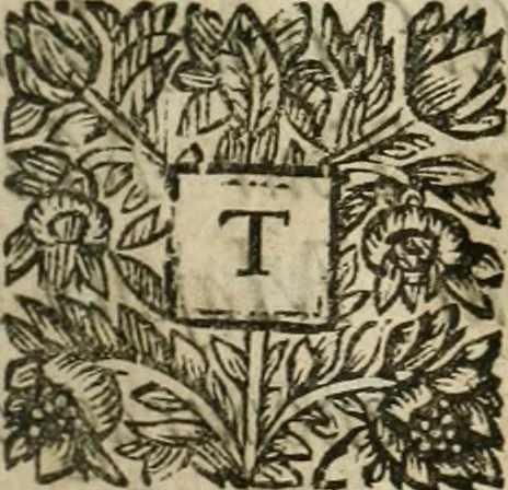 An illustration from An impartial history of the wars of Ireland, with a continuation thereof, 1693, leaf 186