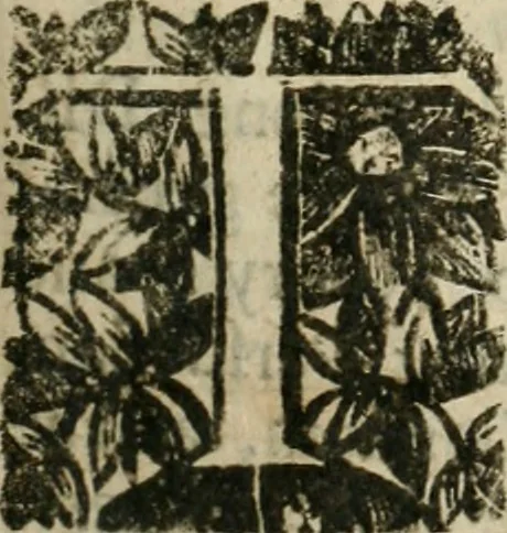 An illustration from An impartial history of the wars of Ireland, with a continuation thereof, 1693, leaf 206