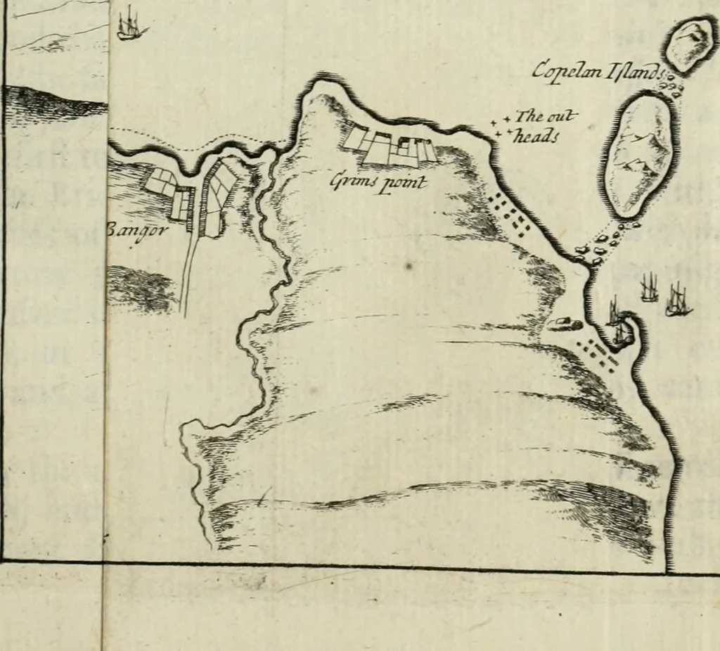 An illustration from An impartial history of the wars of Ireland, with a continuation thereof, 1693, leaf 216