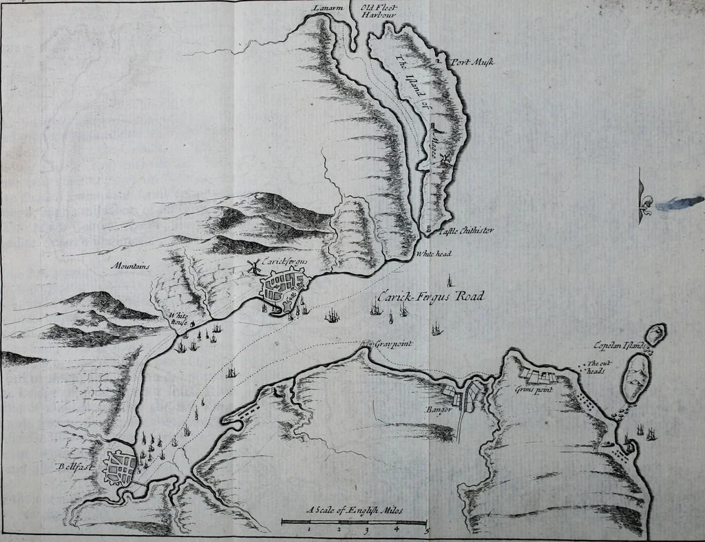 An illustration from An impartial history of the wars of Ireland, with a continuation thereof, 1693, leaf 217