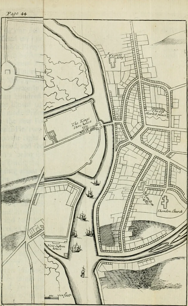 An illustration from An impartial history of the wars of Ireland, with a continuation thereof, 1693, leaf 262