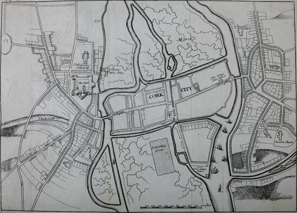 An illustration from An impartial history of the wars of Ireland, with a continuation thereof, 1693, leaf 263
