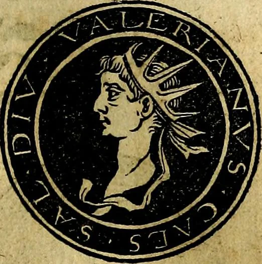 An illustration from Imperatorum et Caesarum vitæ, cum inaginibus ad vivam effigiem expressis. Libellus auctus cum elencho & iconijs consulum ab authore, 1534, leaf 100
