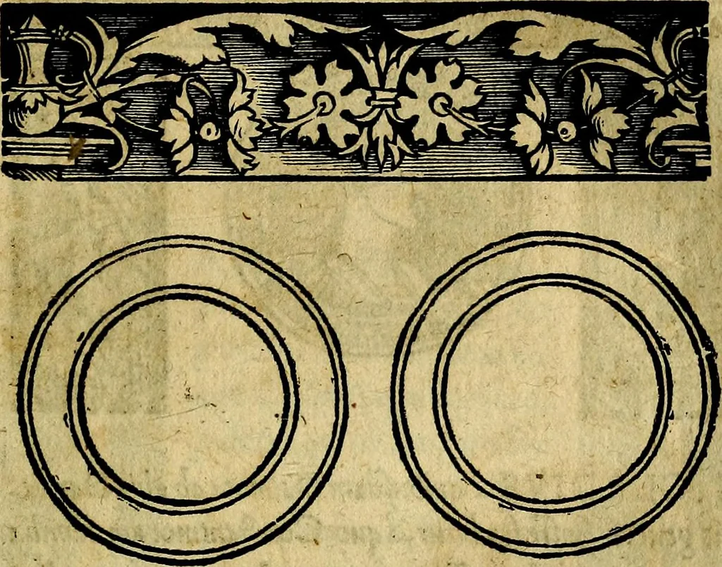 An illustration from Imperatorum et Caesarum vitæ, cum inaginibus ad vivam effigiem expressis. Libellus auctus cum elencho & iconijs consulum ab authore, 1534, leaf 110
