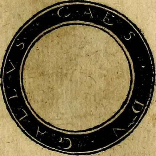 An illustration from Imperatorum et Caesarum vitæ, cum inaginibus ad vivam effigiem expressis. Libellus auctus cum elencho & iconijs consulum ab authore, 1534, leaf 128