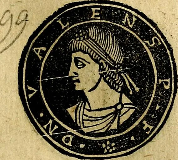 An illustration from Imperatorum et Caesarum vitæ, cum inaginibus ad vivam effigiem expressis. Libellus auctus cum elencho & iconijs consulum ab authore, 1534, leaf 132