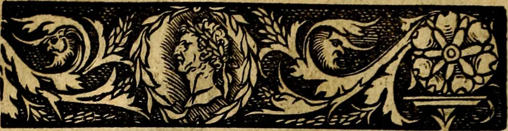 An illustration from Imperatorum et Caesarum vitæ, cum inaginibus ad vivam effigiem expressis. Libellus auctus cum elencho & iconijs consulum ab authore, 1534, leaf 135