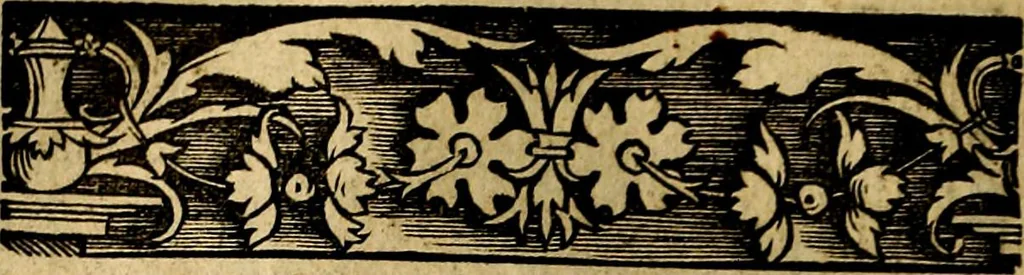 An illustration from Imperatorum et Caesarum vitæ, cum inaginibus ad vivam effigiem expressis. Libellus auctus cum elencho & iconijs consulum ab authore, 1534, leaf 139