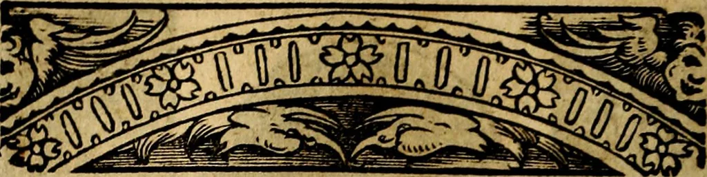 An illustration from Imperatorum et Caesarum vitæ, cum inaginibus ad vivam effigiem expressis. Libellus auctus cum elencho & iconijs consulum ab authore, 1534, leaf 153