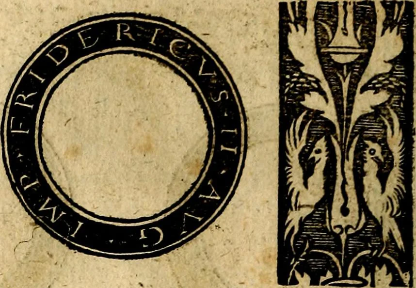 An illustration from Imperatorum et Caesarum vitæ, cum inaginibus ad vivam effigiem expressis. Libellus auctus cum elencho & iconijs consulum ab authore, 1534, leaf 183