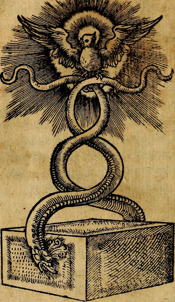 An illustration from Imperatorum et Caesarum vitæ, cum inaginibus ad vivam effigiem expressis. Libellus auctus cum elencho & iconijs consulum ab authore, 1534, leaf 199