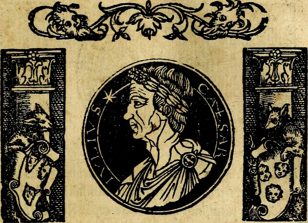 An illustration from Imperatorum et Caesarum vitæ, cum inaginibus ad vivam effigiem expressis. Libellus auctus cum elencho & iconijs consulum ab authore, 1534, leaf 20