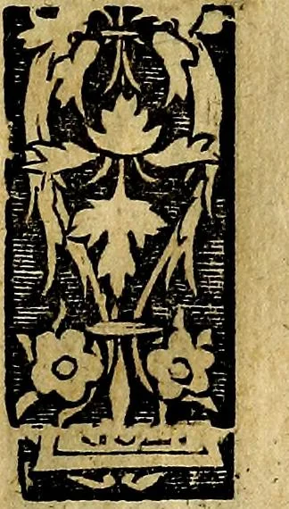 An illustration from Imperatorum et Caesarum vitæ, cum inaginibus ad vivam effigiem expressis. Libellus auctus cum elencho & iconijs consulum ab authore, 1534, leaf 208