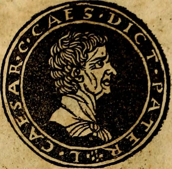An illustration from Imperatorum et Caesarum vitæ, cum inaginibus ad vivam effigiem expressis. Libellus auctus cum elencho & iconijs consulum ab authore, 1534, leaf 21