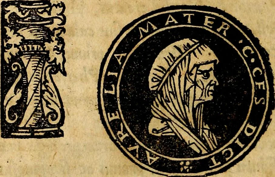 An illustration from Imperatorum et Caesarum vitæ, cum inaginibus ad vivam effigiem expressis. Libellus auctus cum elencho & iconijs consulum ab authore, 1534, leaf 21