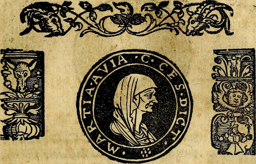 An illustration from Imperatorum et Caesarum vitæ, cum inaginibus ad vivam effigiem expressis. Libellus auctus cum elencho & iconijs consulum ab authore, 1534, leaf 22