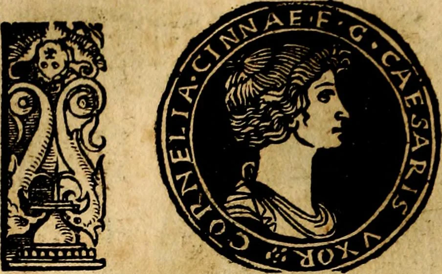 An illustration from Imperatorum et Caesarum vitæ, cum inaginibus ad vivam effigiem expressis. Libellus auctus cum elencho & iconijs consulum ab authore, 1534, leaf 23