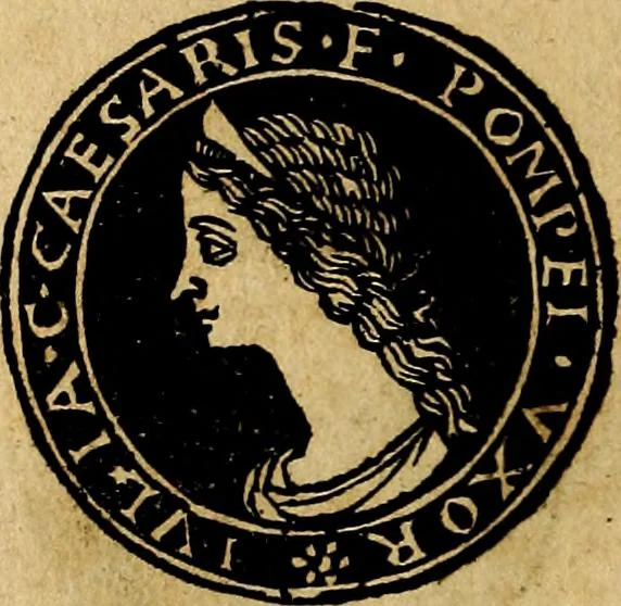 An illustration from Imperatorum et Caesarum vitæ, cum inaginibus ad vivam effigiem expressis. Libellus auctus cum elencho & iconijs consulum ab authore, 1534, leaf 23