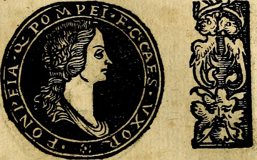 An illustration from Imperatorum et Caesarum vitæ, cum inaginibus ad vivam effigiem expressis. Libellus auctus cum elencho & iconijs consulum ab authore, 1534, leaf 24