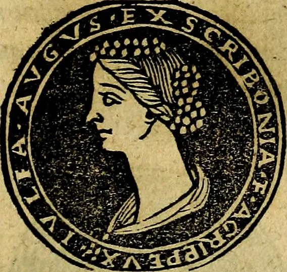 An illustration from Imperatorum et Caesarum vitæ, cum inaginibus ad vivam effigiem expressis. Libellus auctus cum elencho & iconijs consulum ab authore, 1534, leaf 28