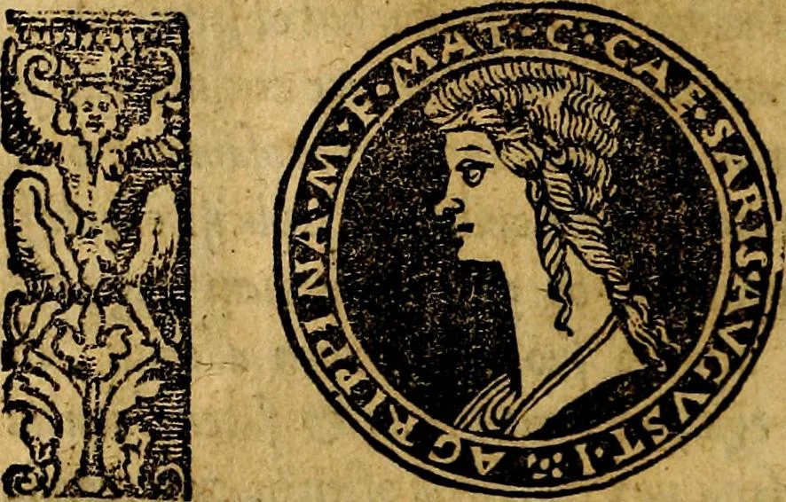 An illustration from Imperatorum et Caesarum vitæ, cum inaginibus ad vivam effigiem expressis. Libellus auctus cum elencho & iconijs consulum ab authore, 1534, leaf 35