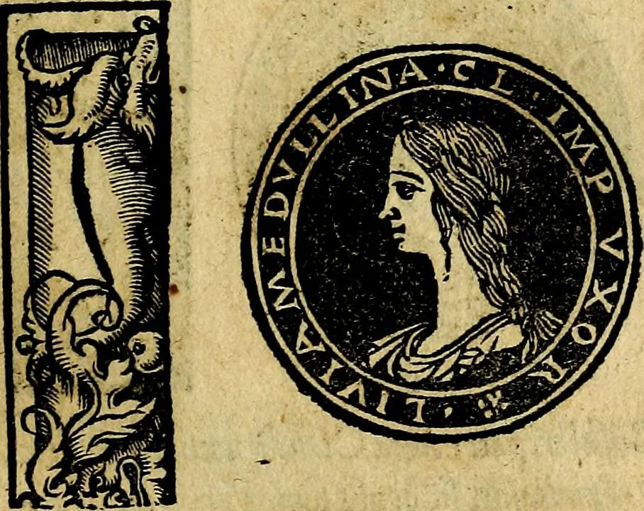 An illustration from Imperatorum et Caesarum vitæ, cum inaginibus ad vivam effigiem expressis. Libellus auctus cum elencho & iconijs consulum ab authore, 1534, leaf 40