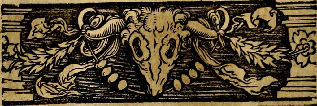 An illustration from Imperatorum et Caesarum vitæ, cum inaginibus ad vivam effigiem expressis. Libellus auctus cum elencho & iconijs consulum ab authore, 1534, leaf 75