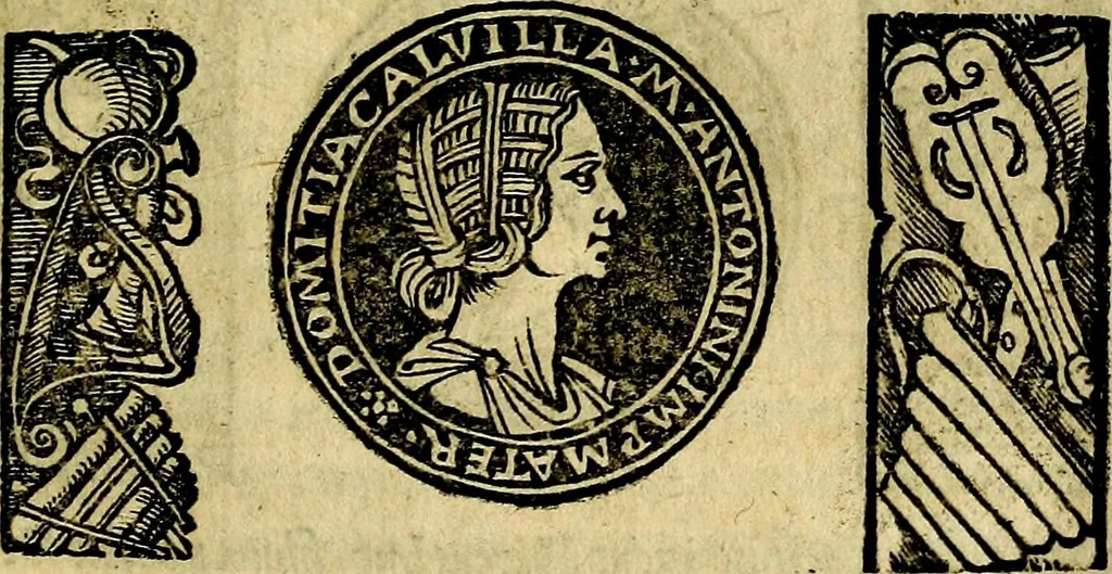 An illustration from Imperatorum et Caesarum vitæ, cum inaginibus ad vivam effigiem expressis. Libellus auctus cum elencho & iconijs consulum ab authore, 1534, leaf 78