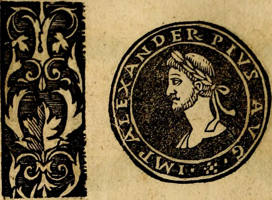 An illustration from Imperatorum et Caesarum vitæ, cum inaginibus ad vivam effigiem expressis. Libellus auctus cum elencho & iconijs consulum ab authore, 1534, leaf 89