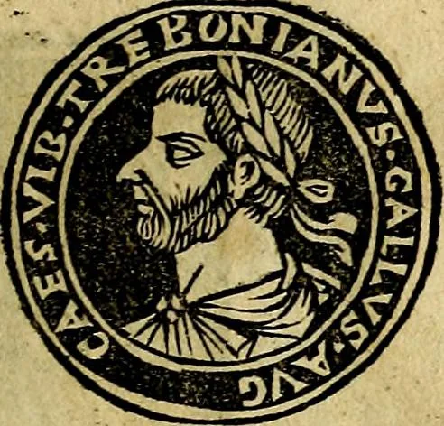 An illustration from Imperatorum et Caesarum vitæ, cum inaginibus ad vivam effigiem expressis. Libellus auctus cum elencho & iconijs consulum ab authore, 1534, leaf 98