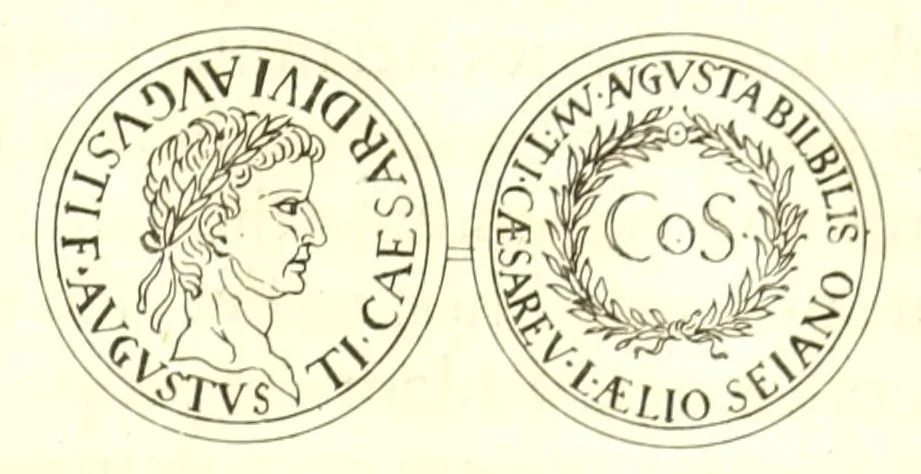 An illustration from Imperatorum romanorum numismata ex aere, mediae et minimae formae: descripta & enarrata, 1671, leaf 119
