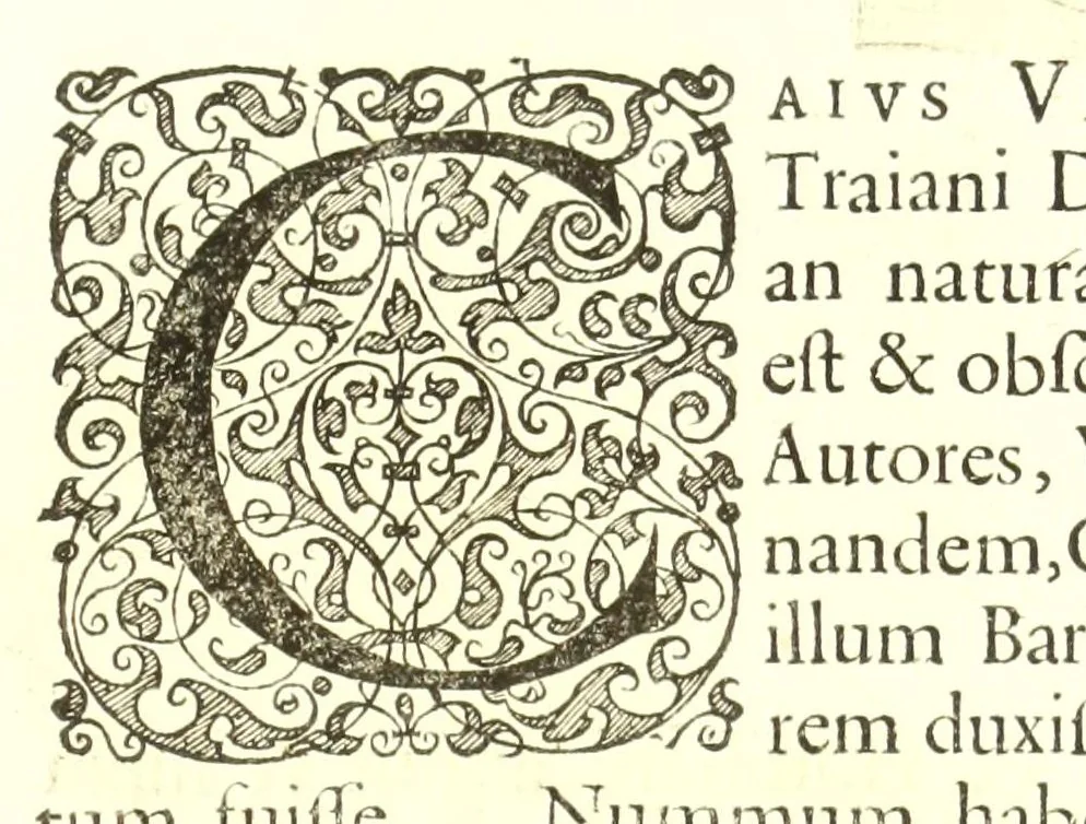 An illustration from Imperatorum romanorum numismata ex aere, mediae et minimae formae: descripta & enarrata, 1671, leaf 459