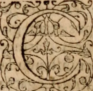 An illustration from Imperii Graeci historia ab anno MCXVII in quo Zonaras definit, usque ad annum MCCIII, libris XIX descripta:, 1593, leaf 182